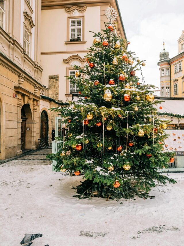 Christmas Decor Ideas to Beauty Your Home This Season 2025
